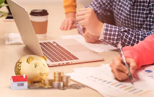 猫咪能去哪里旅游呢英文